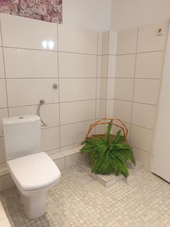 Lemberg Holiday home *